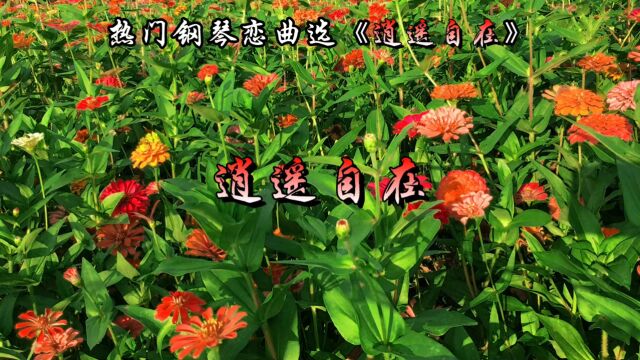 热门钢琴恋曲选《逍遥自在》