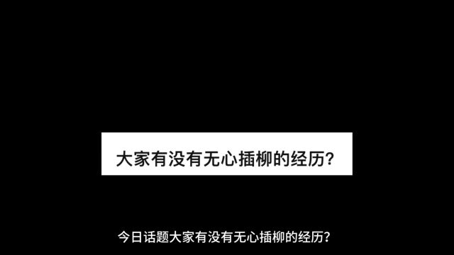 大家有没有无心插柳的经历?