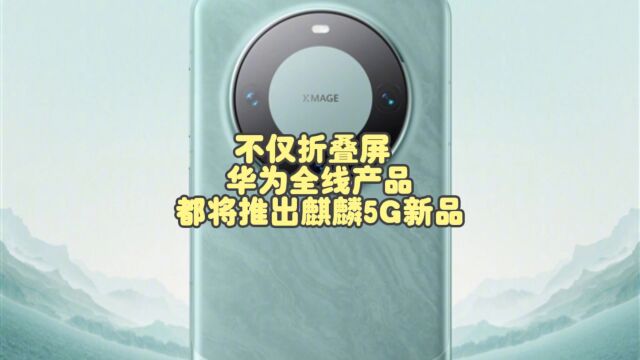 不仅折叠屏 博主称华为全线产品都将推出麒麟5G新品