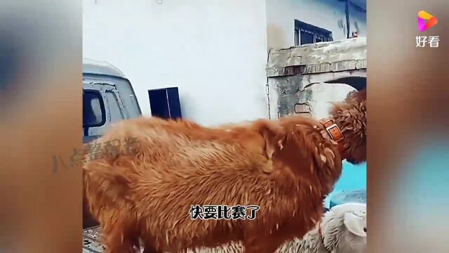 想不明白,怎么上去的?