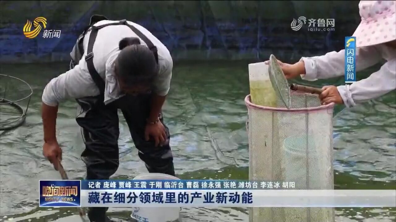 山东各地加大要素保障,引领细分领域小企业做强做大