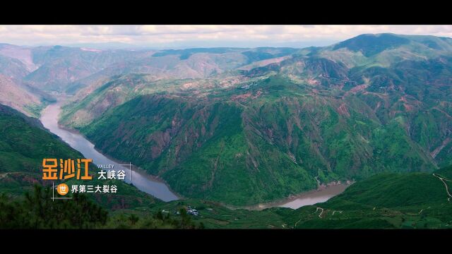 就在明天!一万颗攀枝花芒果,沈阳“老铁”免费领!