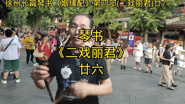 琴书《二戏丽君》廿六