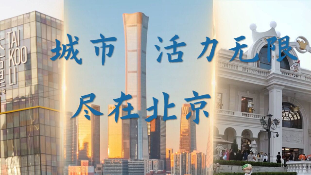 “聚焦商业与消费” 2023年度(第十七届)北京商业高峰论坛圆满结束.