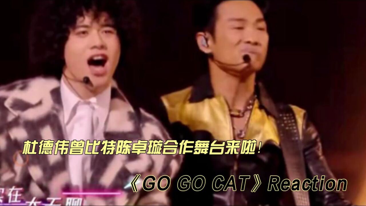 杜德伟曾比特陈卓璇合作舞台《GO GO CAT》reaction