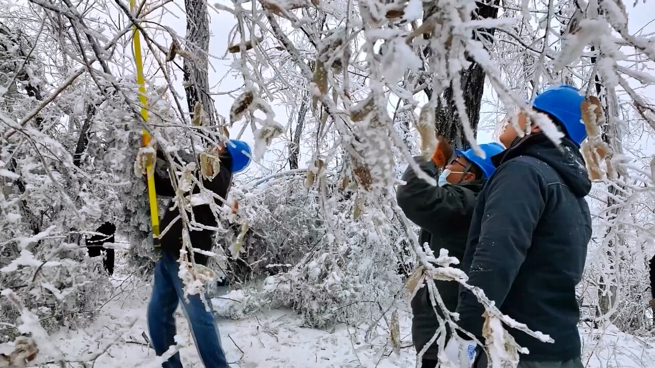 河南新密:应对冰雪寒潮 全力保暖保供