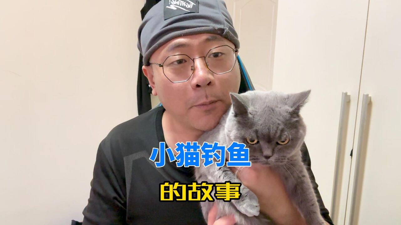 智哥讲故事:小猫钓鱼