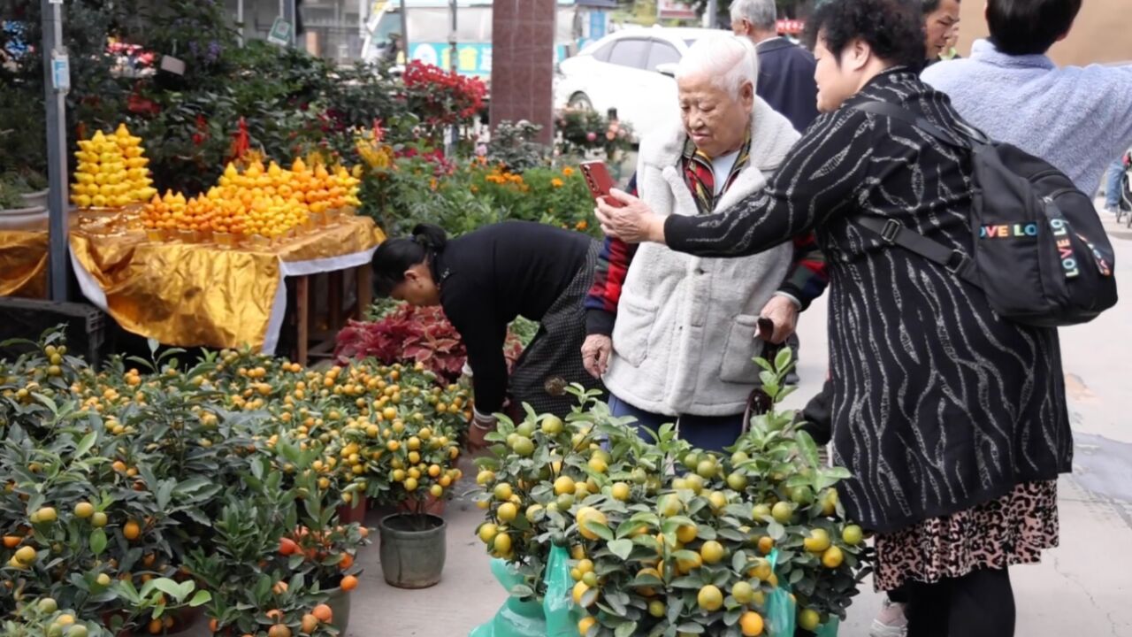 临近春节广州市民错峰提前选购年花:趁人少更多选择更抵买