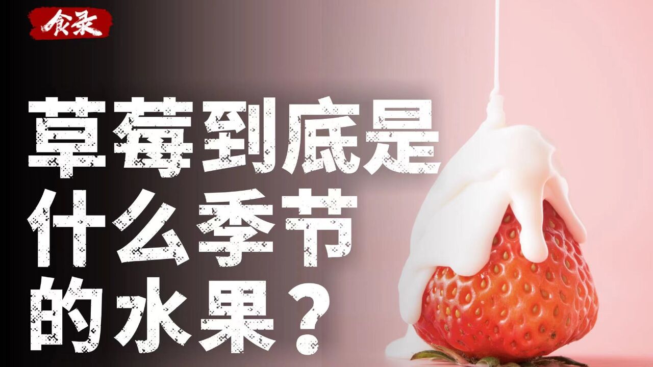 一年四季都能吃到的草莓,到底是什么季节的水果?