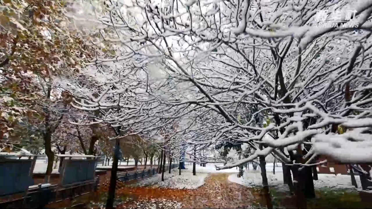 千城胜景|河北栾城:人民广场雪景美如画