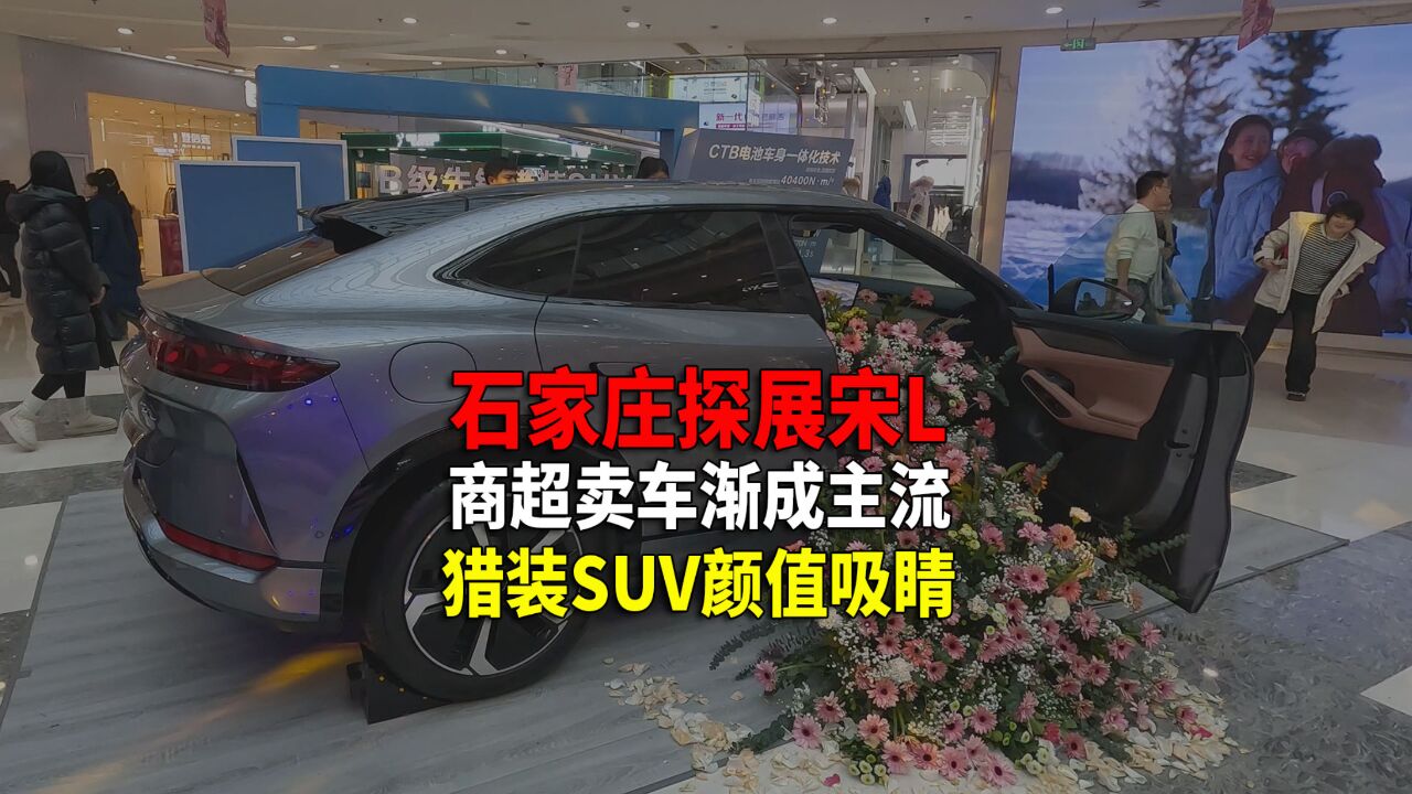 20万级家用SUV 颜值空间动力成本兼顾 石家庄车友会咋选?