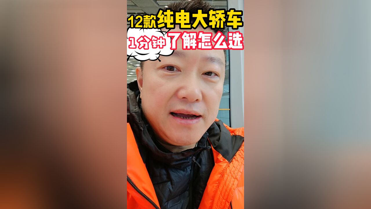 12款纯电大轿车 1分钟了解怎么选