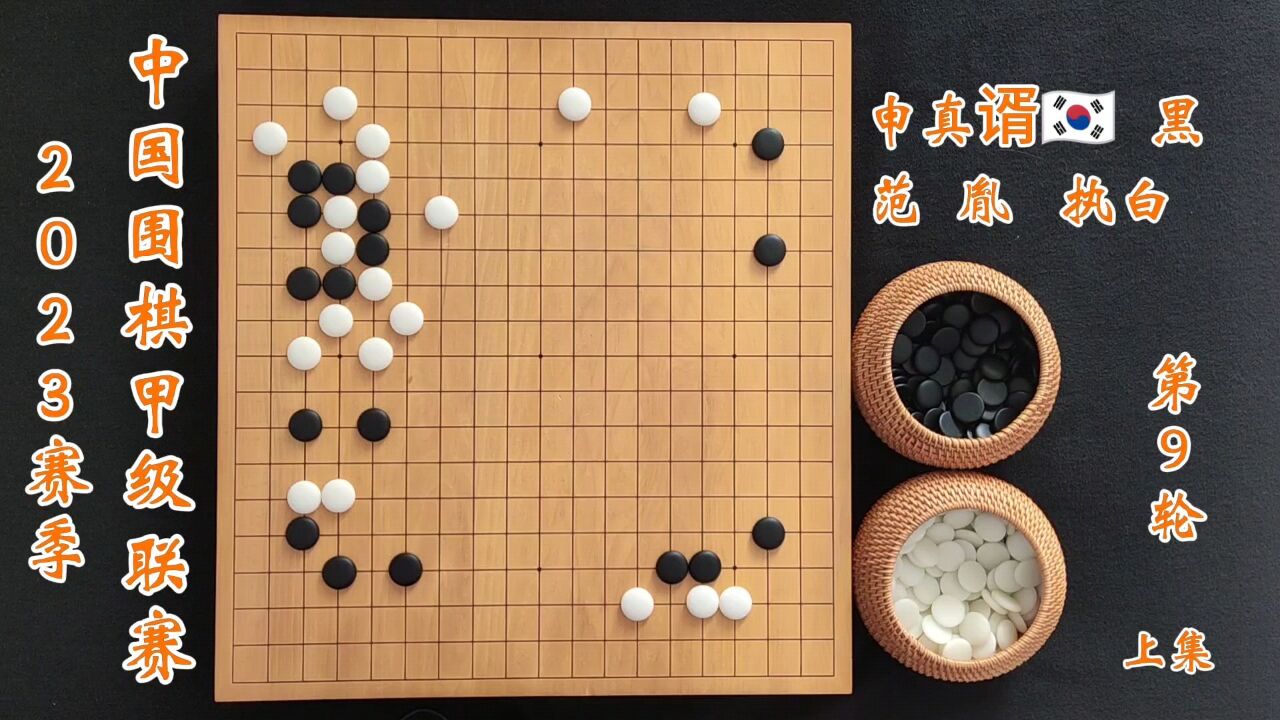 2023赛季中国围棋甲级联赛第9轮申真谞vs范胤上集