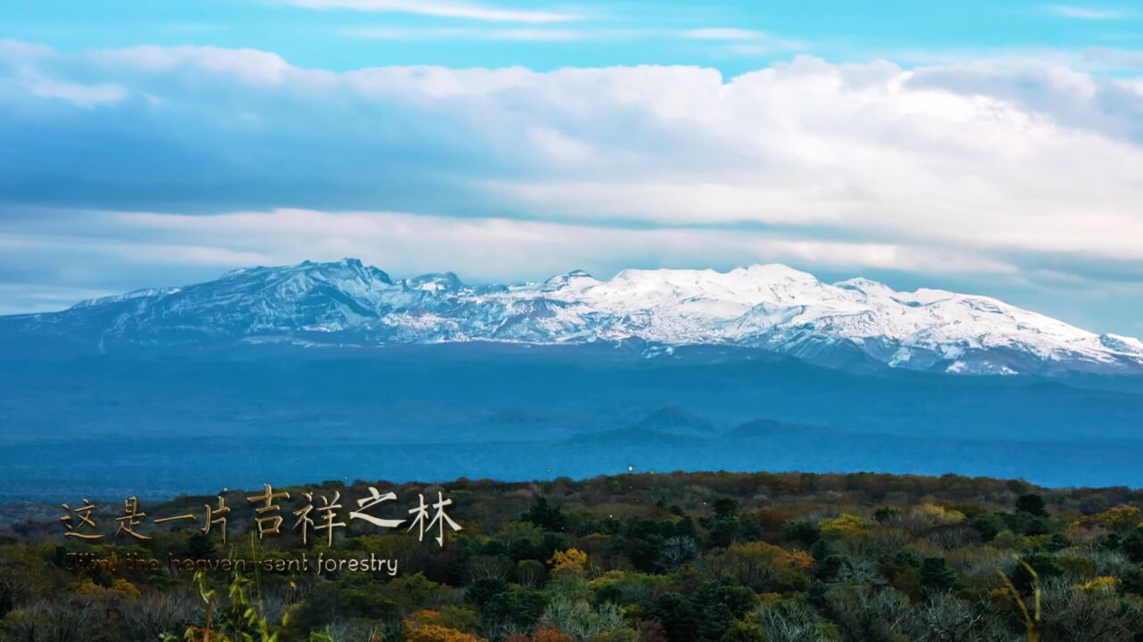 吉林省文旅宣传主题歌《吉祥之林》