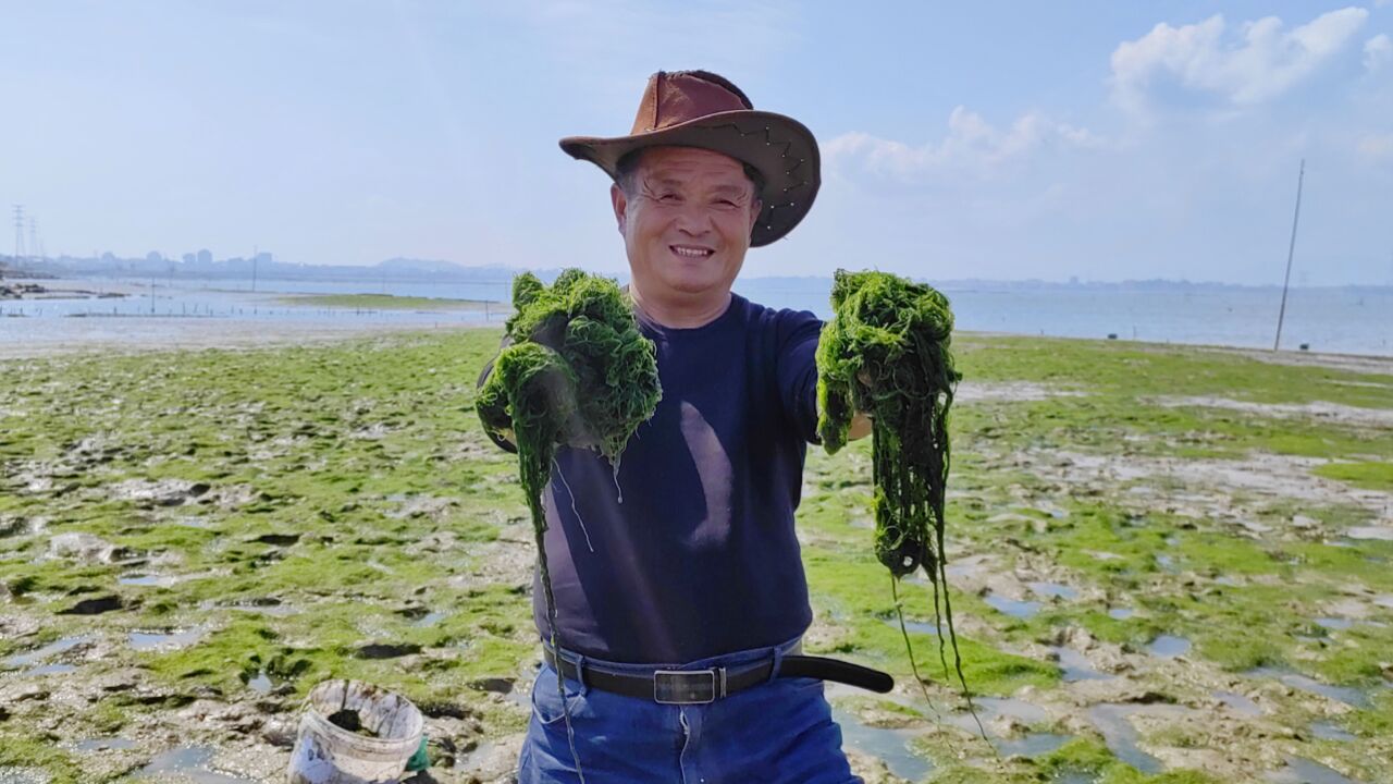 老妈怀念50年前的海味,阿胖山亲自下海捞,山珍海味比不上这一口