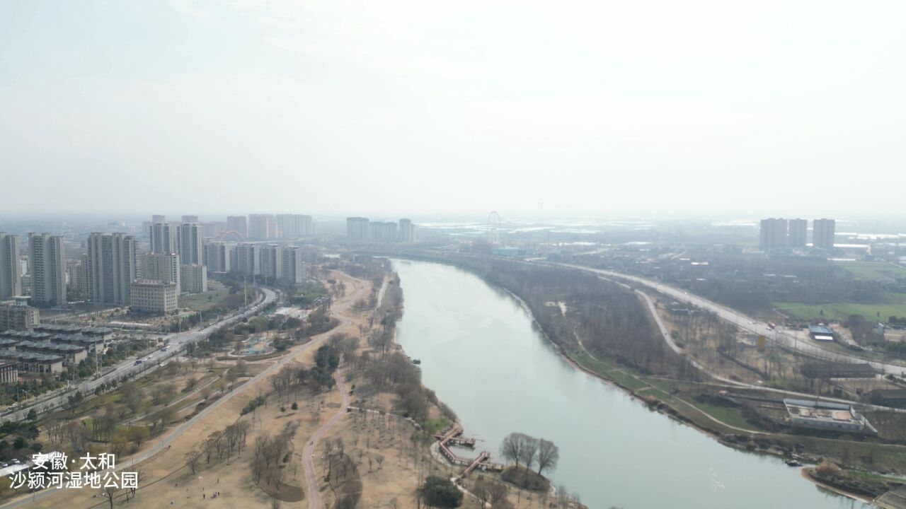 航拍家乡人气最旺的景点,太和沙颍河湿地公园,很多人慕名而来