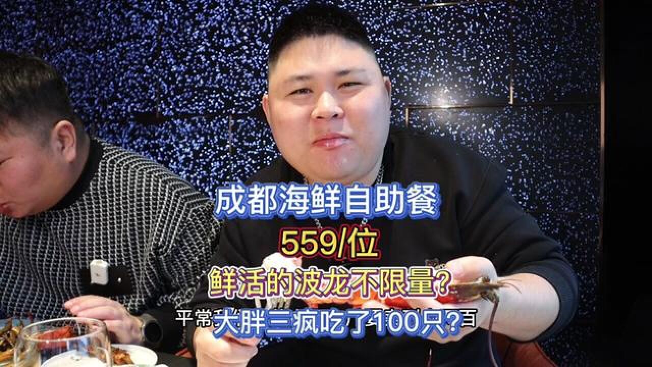 成都559一位的海鲜自助!鲜活波龙不限量!大胖又吃开心了