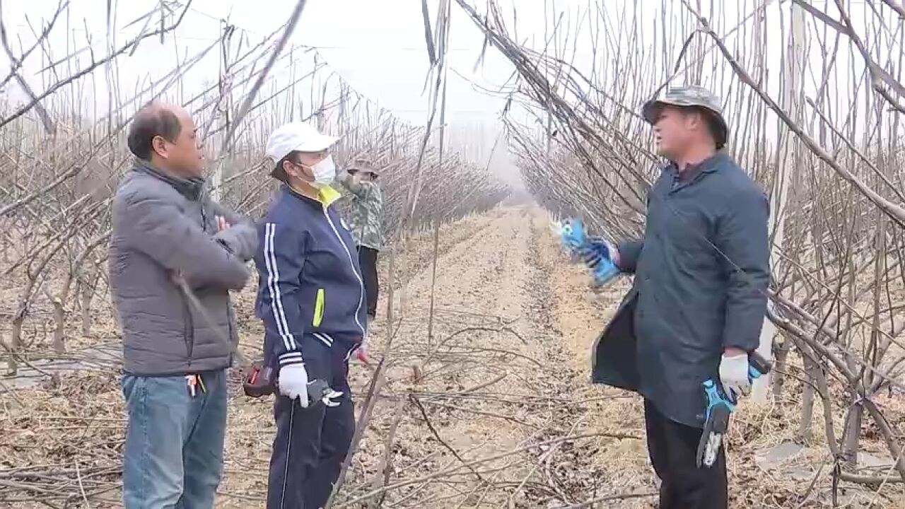 滨州市博兴县城东街道:技术进田园 科技助丰收