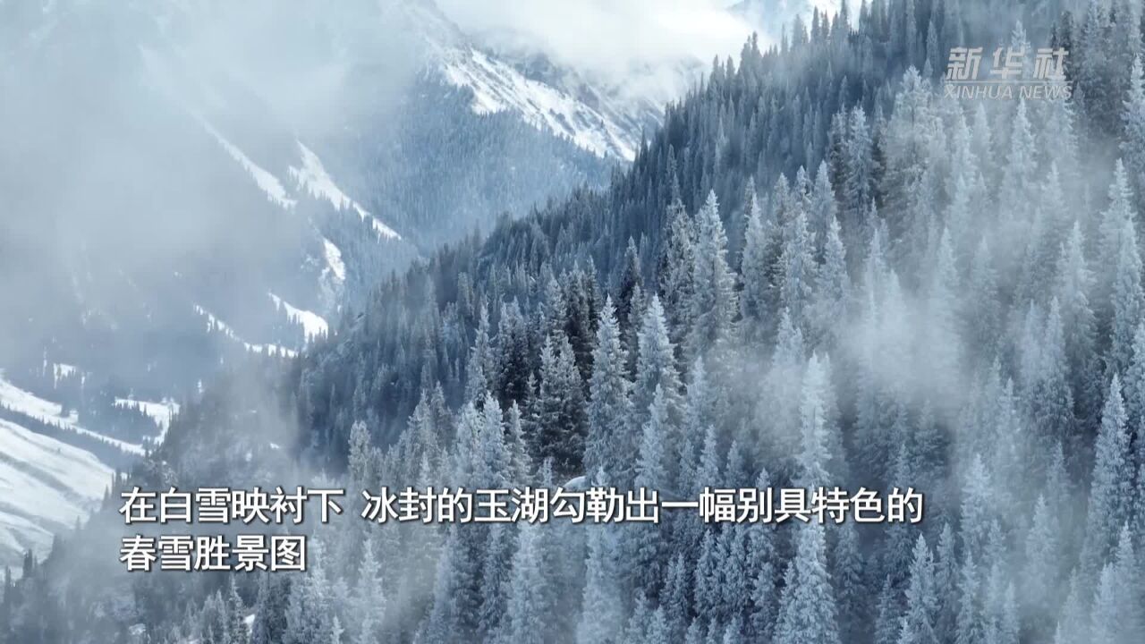 新疆昭苏:春雪落玉湖 美景入画来