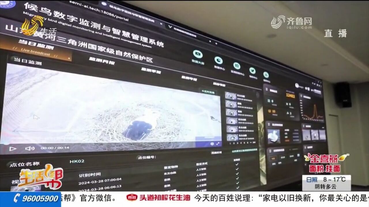 东营:“数智化”打造“鸟中国宝”东方白鹳栖息巢