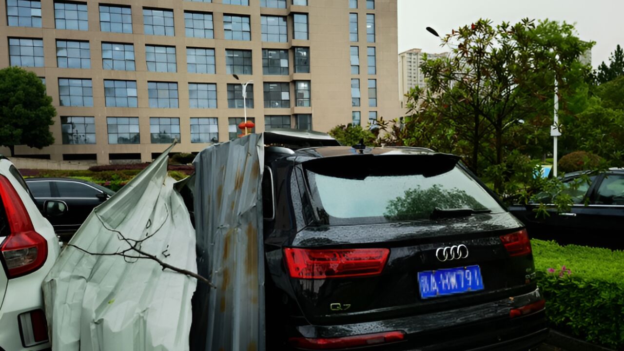 江西抚州出现12级雷雨大风,风力堪比台风登陆