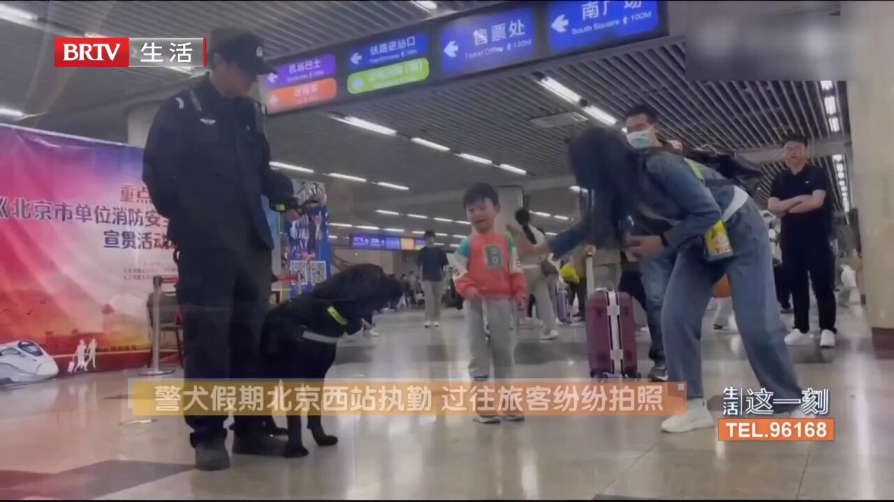 警犬假期北京西站执勤,过往旅客纷纷拍照