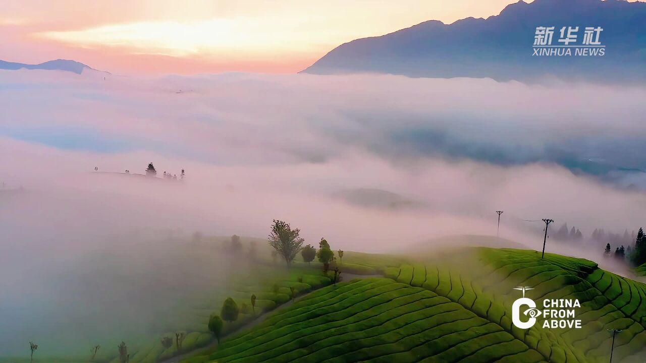 瞰中国丨湖北鹤峰:木耳山云海如诗如画