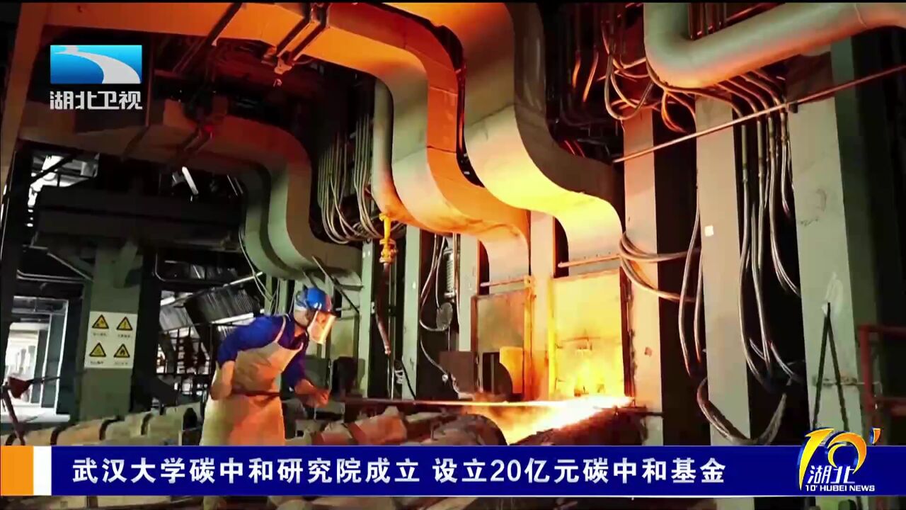 武汉大学碳中和研究院成立 设立20亿元碳中和基金