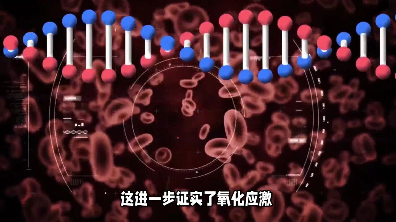 武汉大学最新研究揭秘男性衰老更快的原因