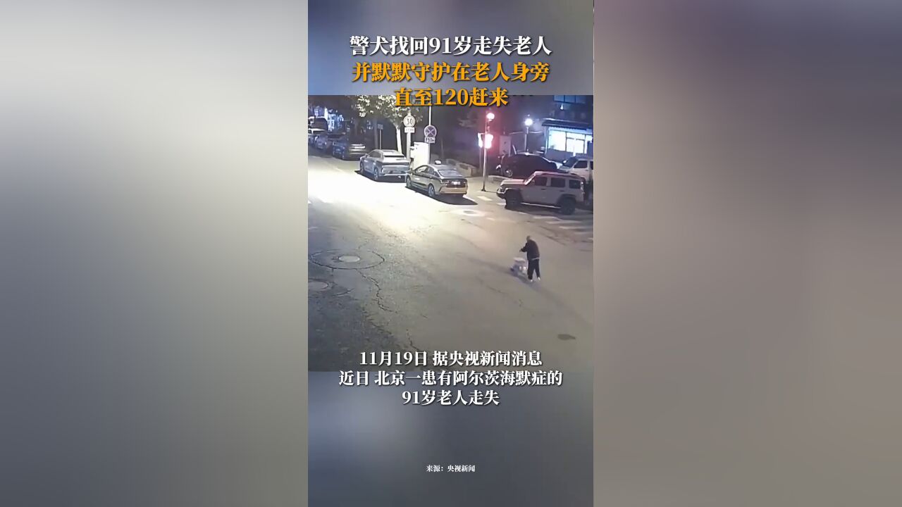 警犬找回91岁走失老人 并默默守护在老人身旁直至120赶来