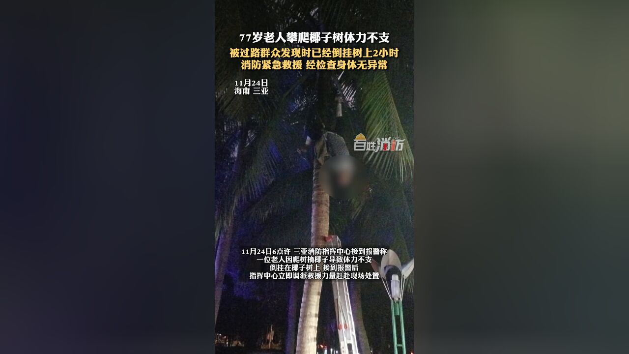 77岁老人攀爬椰子树体力不支,被过路群众发现时已倒挂2小时