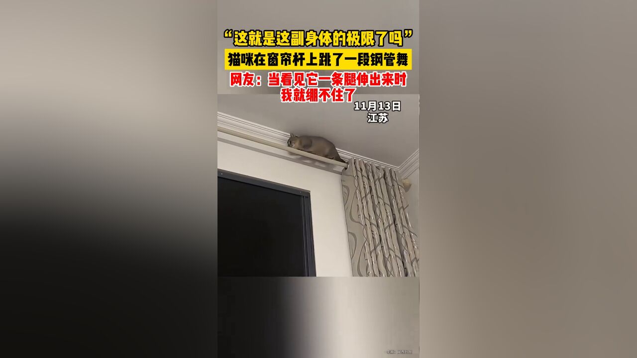 猫咪在窗帘杆上跳起钢管舞,猫咪:这就是这副身体的极限了吗?