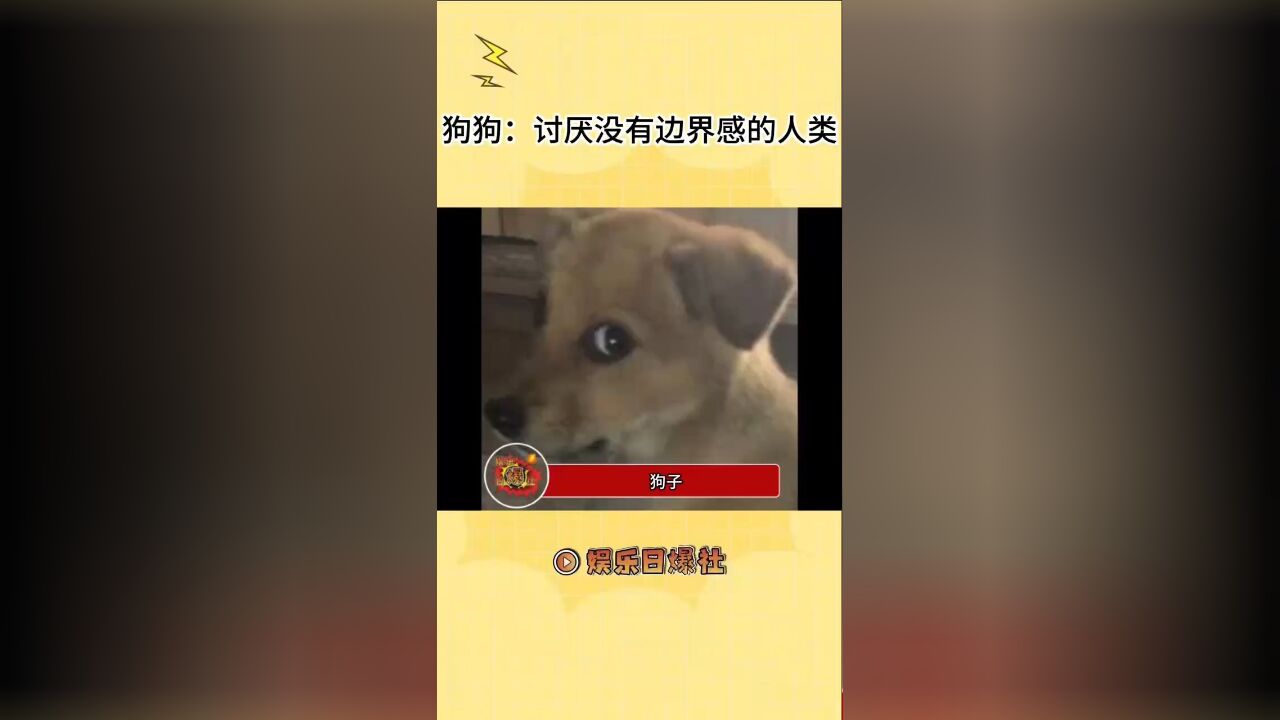 狗狗:有人为我花生吗