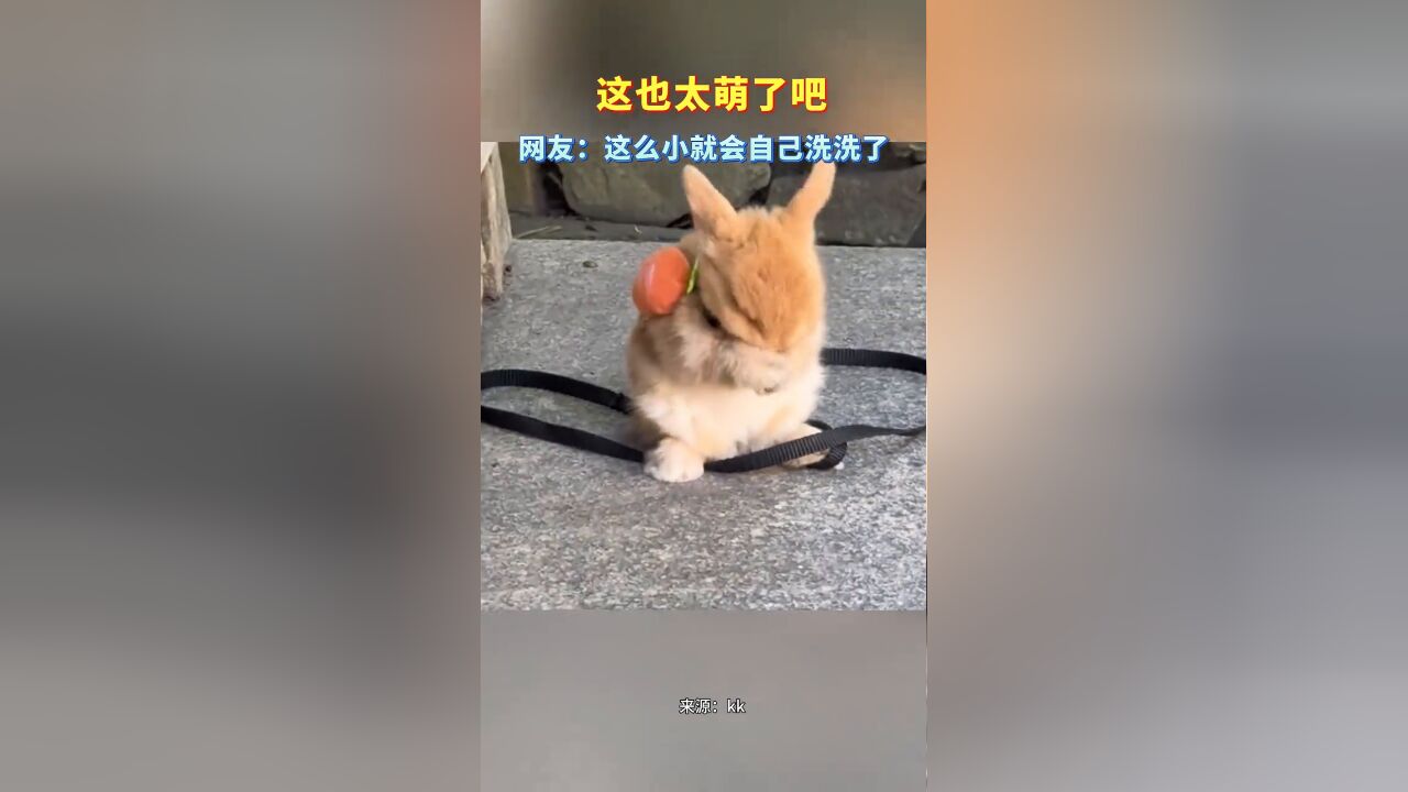 这也太萌了吧,网友:这么小就会自己洗洗了