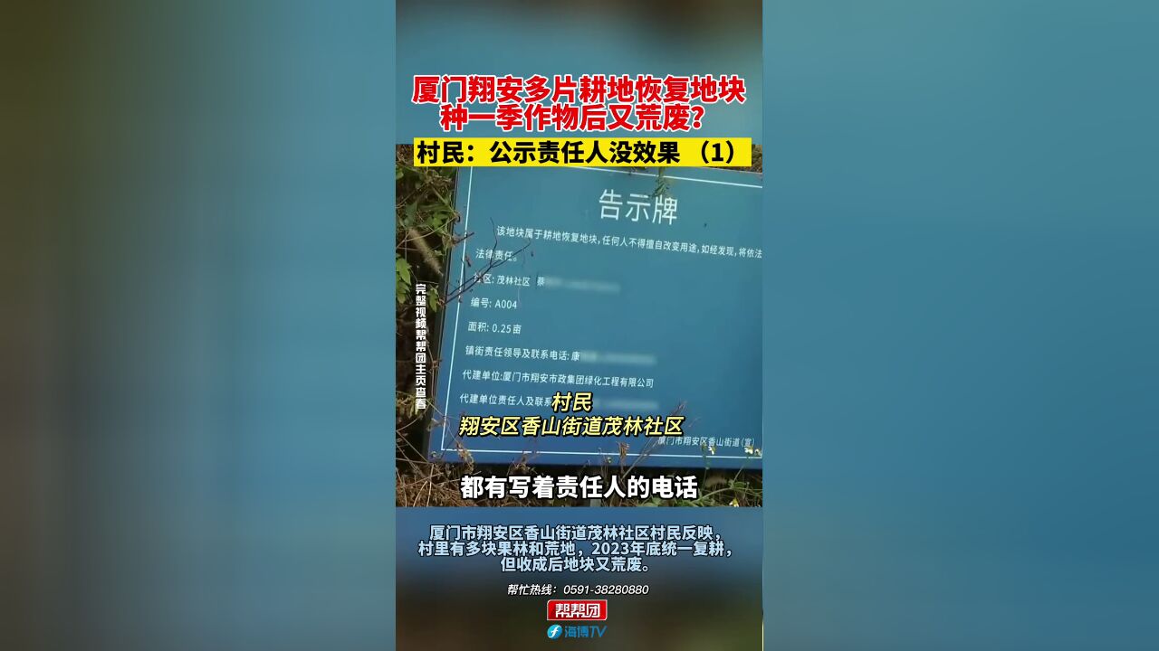 厦门翔安多片耕地恢复地块,种一季作物后又荒废?村民:公示责任人没效果,1