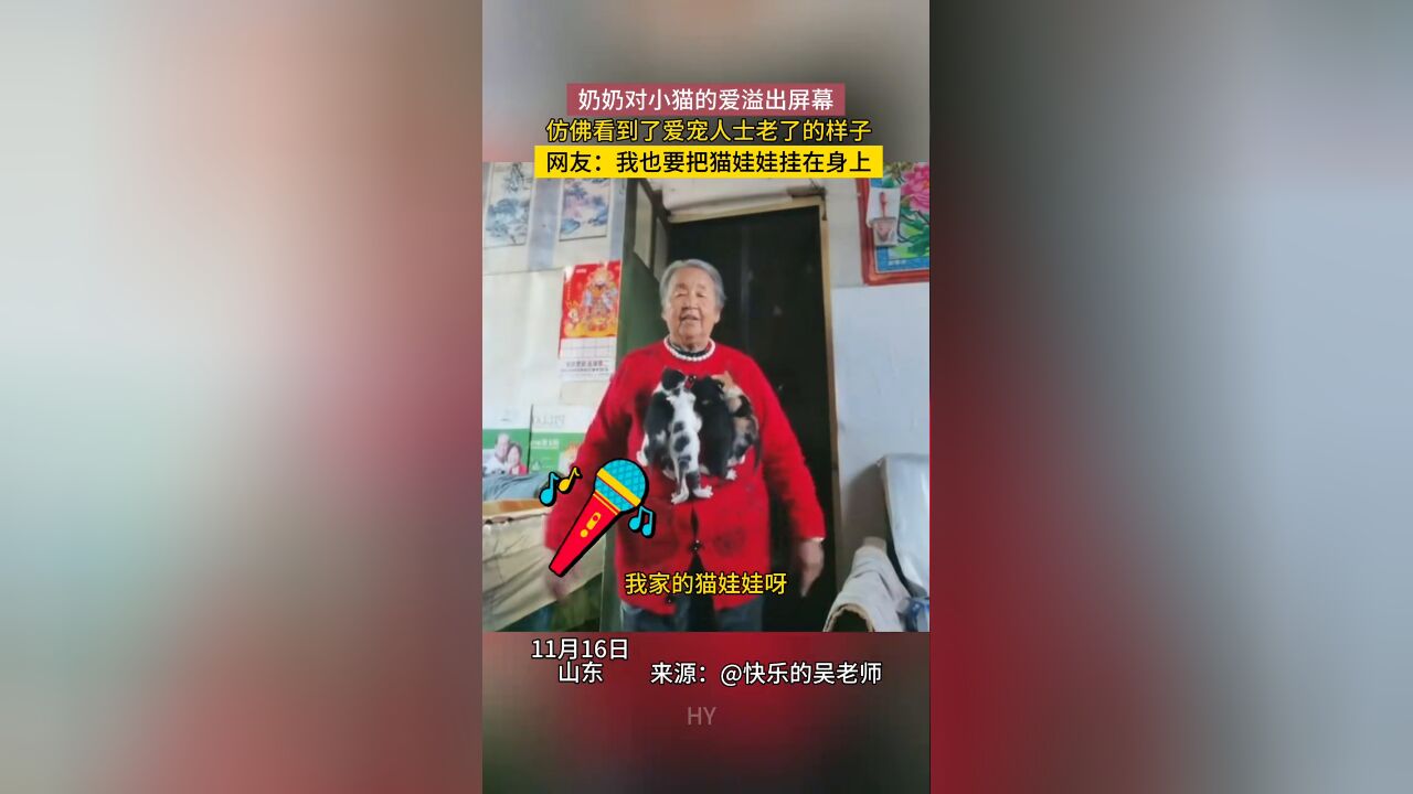 奶奶对小猫的爱溢出屏幕,仿佛看见了爱宠人老了的样子