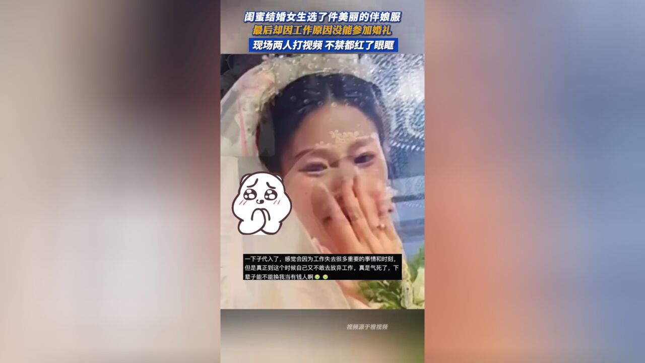 闺蜜结婚女生选了件美丽的伴娘服,最后却因工作原因没能参加婚礼