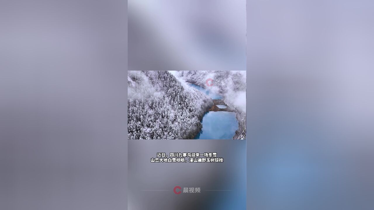 雪漫九寨!九寨沟秋色渐隐冬雪初降