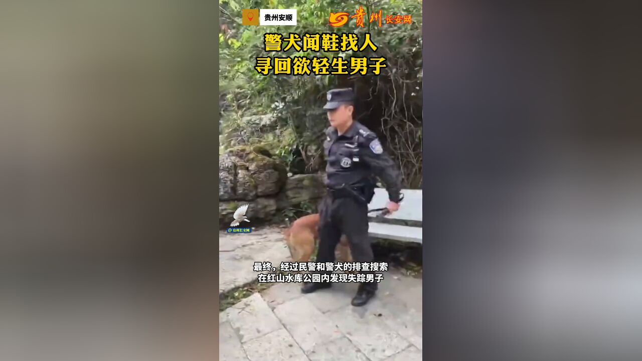 警犬闻鞋找人,寻回欲轻生男子