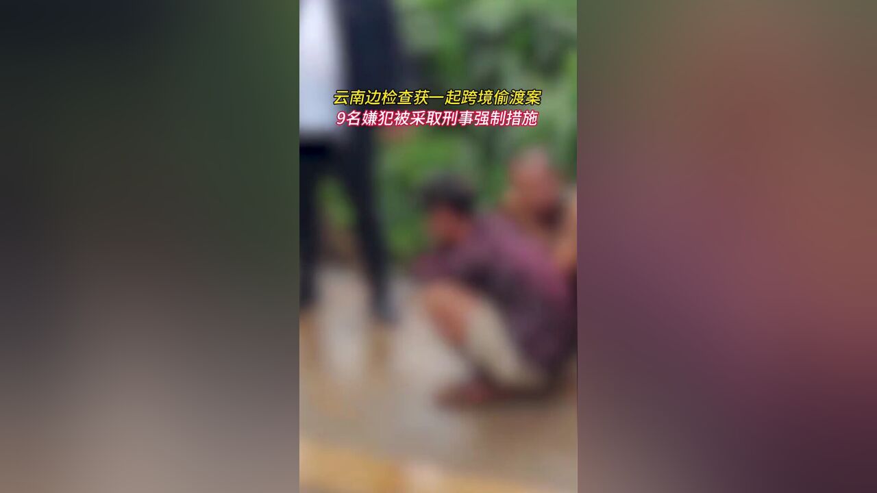 云南边检查获一起跨境偷渡案:9名嫌犯被采取刑事强制措施.澎湃新闻