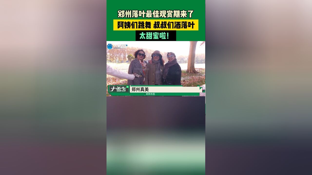 郑州落叶最佳观赏期来了,阿姨们跳舞,叔叔们洒落叶,太甜蜜啦!