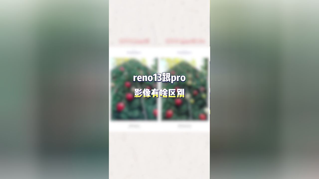 喜欢拍照?reno13跟pro应该怎么选?一个视频告诉你