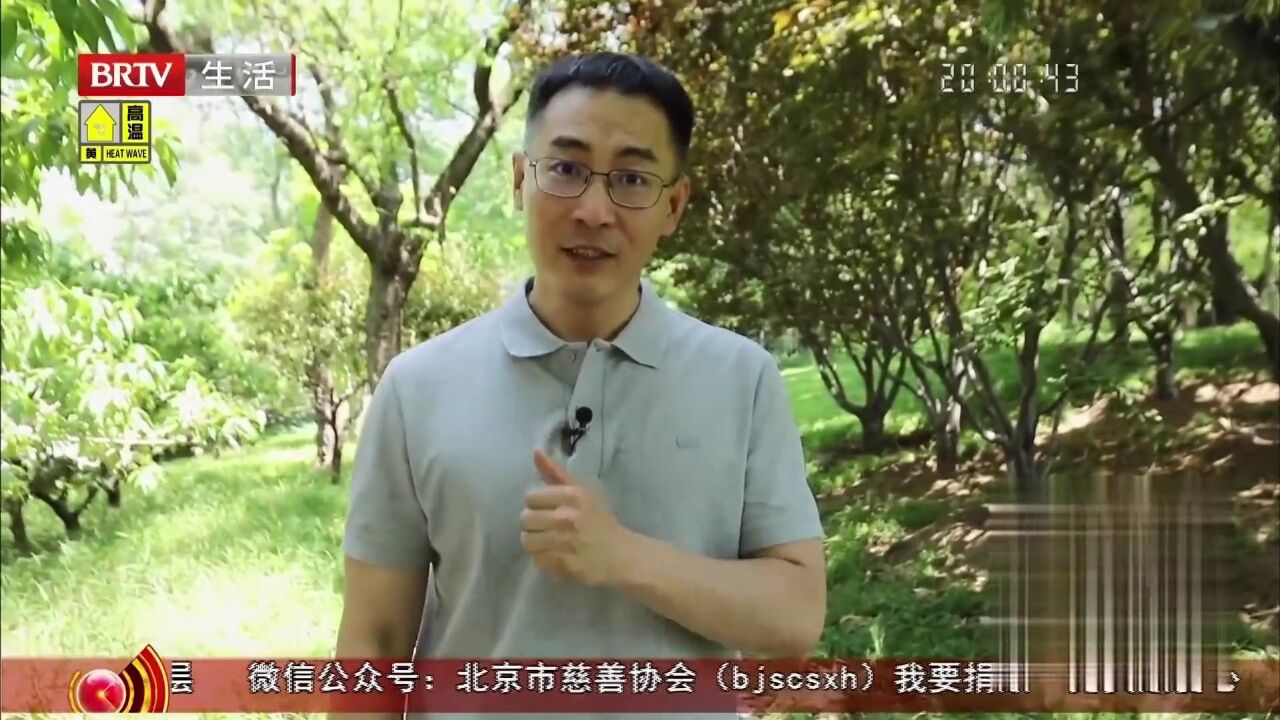 志强者智达——西北风味纯正中更见精致高光片段