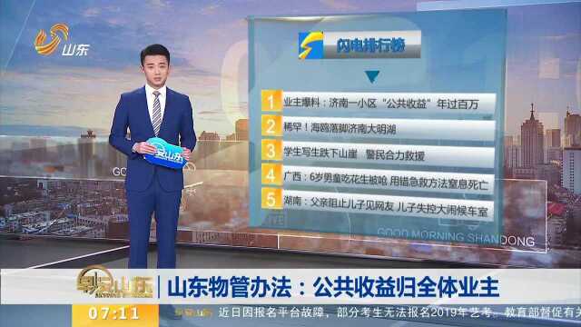 山东物管办法:公共收益归全体业主