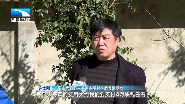 精准扶贫 不落一人 十堰 信息畅通 铺设无形致富路