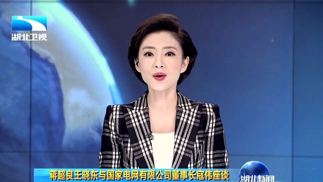 蒋超良王晓东与国家电网有限公司董事长寇伟座谈