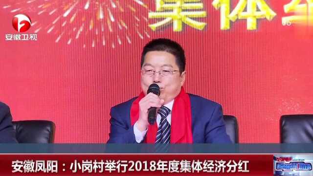 安徽凤阳:小岗村举行2018年度集体经济分红