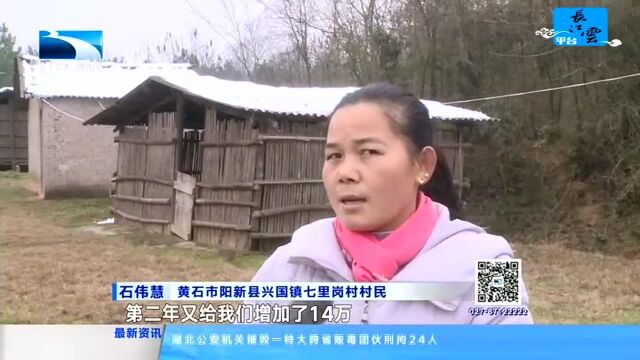 帮残助残 有你有我 阳新:残疾夫妻艰苦创业 致富不忘回报社会