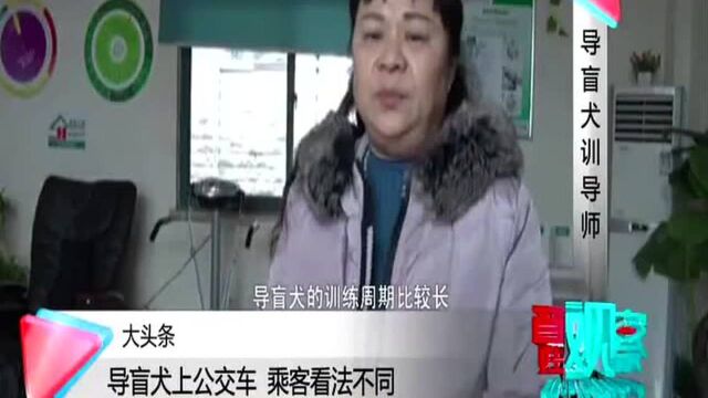 导盲犬上公交车 乘客看法不同