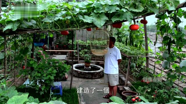 理想家园,北京人张贵春的别样人生,100平楼顶的菜园让其生活乐趣倍增,丰收的喜悦